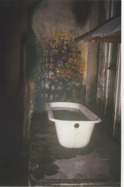 Elu tekkimine ja kadumine/Genesis and Disappearence of Life, 1994