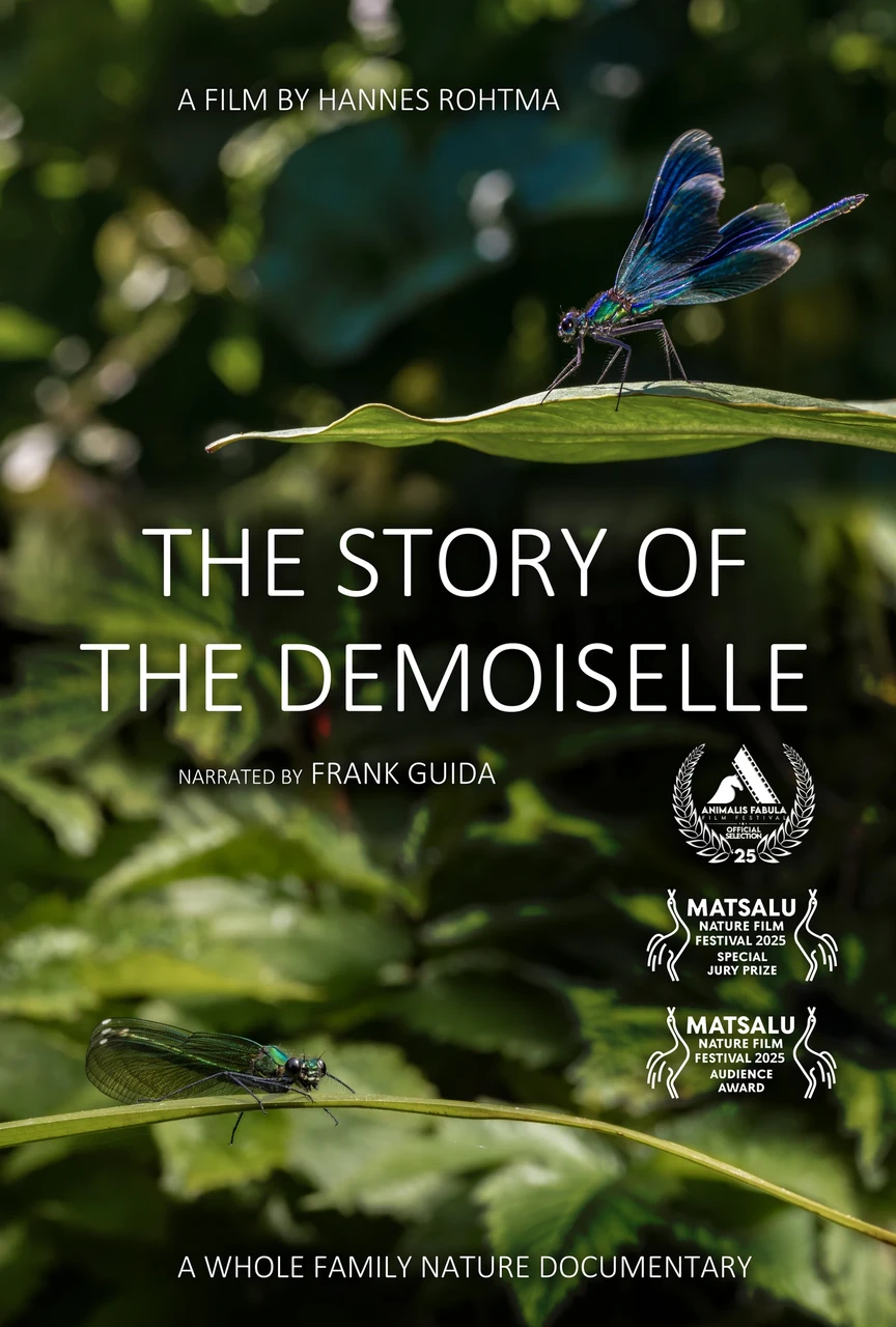The Story of the Demoiselle