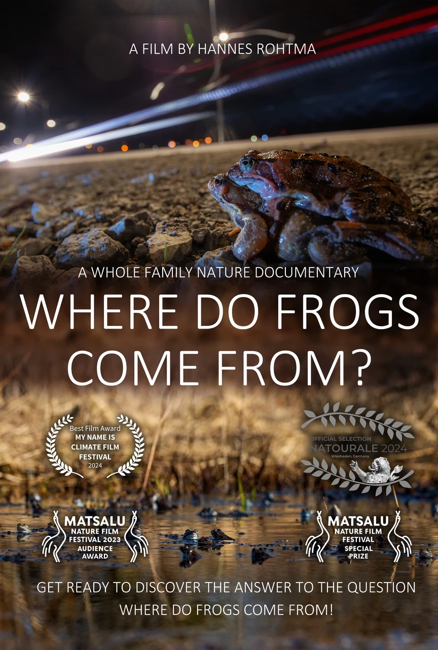 Where do Frogs come from?