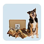 Untitled (1200 x 1200 px) 1