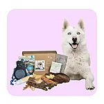 Untitled (1200 x 1200 px) 4