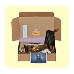 Untitled (1200 x 1200 px) 5