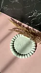 Img 1812