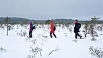 Lumine raba on täielik talvine võlumaa.