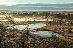 The view from the watching tower - frost meeting the morning sun creates steaming bog pools and sparkling grasses.