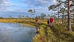 Walking on bog-shoes is the best way to explore hidden areas that are otherwise inaccessible.