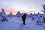 Under a thick layer of snow, the bog becomes a magical hidden world where even the boardwalk disappears.