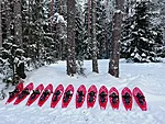 Talvel lihtsustavad räätsad pehmes sügavas lumes liikumist.