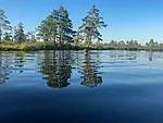 Summer (June–August) is the best time to swim in a bog pool. This unique experience lets you enjoy deep, dark, cold, and very clean water. Recommended only if you feel confident swimming in deep water. 