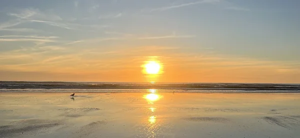 Waikawa Beach © Jana Grohnert