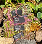 476427282 122199188462174818 9036790509210201476 n