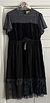 Img 4586