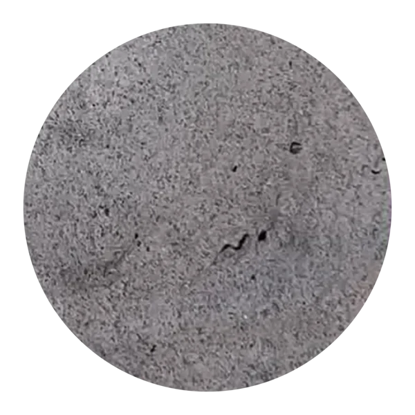 Rannakarbikomposiit / Mussel composite