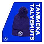 Talvemuts 1