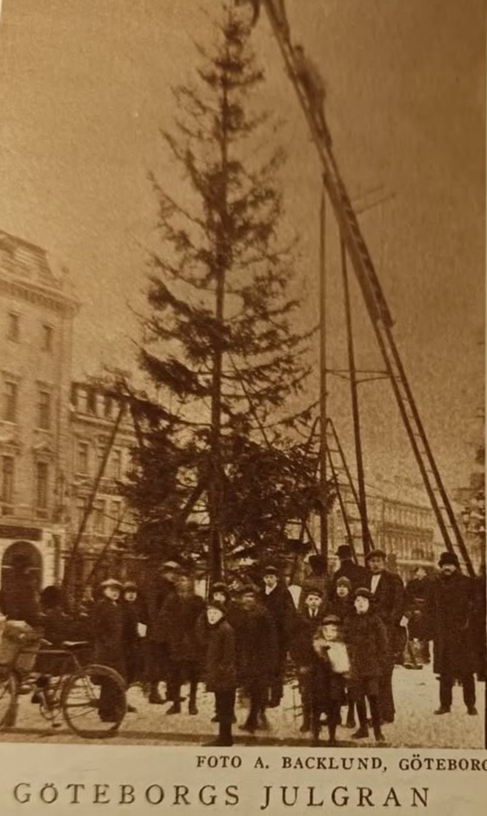 Jõulukuuse paigaldus Göteborgis