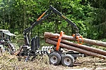 Bmf clambunk for long logs (3)