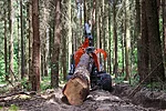 Bmf clambunk for long logs (4)