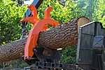 Bmf clambunk for long logs (7)