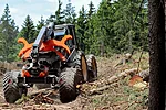 Bmf clambunk poland