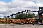 Bmf truck crane bmft1020l 12