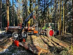 Bmf14t2pro in germany