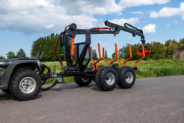 BMF2T1