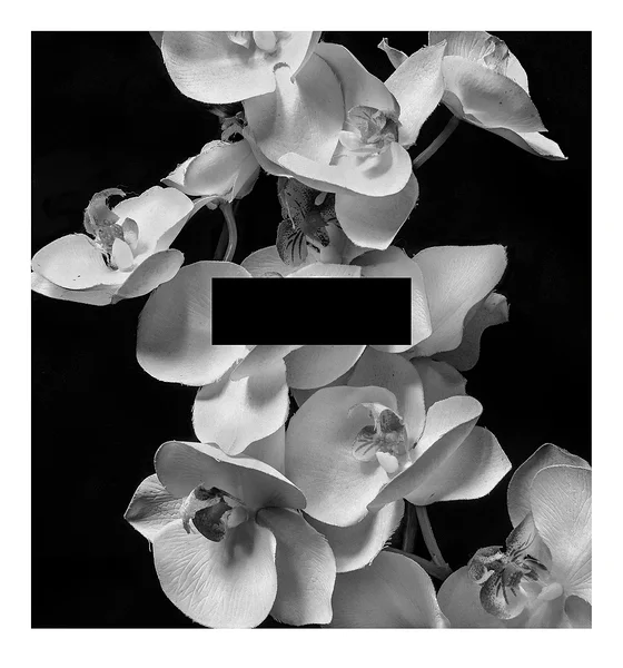 Natura mortis – Kunstlilled, pigmenttrükk, 138x150 cm, 2021