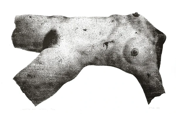 HAAVATUD NIKE, siiditrükk, 54x87 cm, 1989