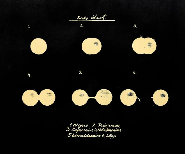 KAKS ÜHEST, siiditrükk, 42x36 cm, 1980