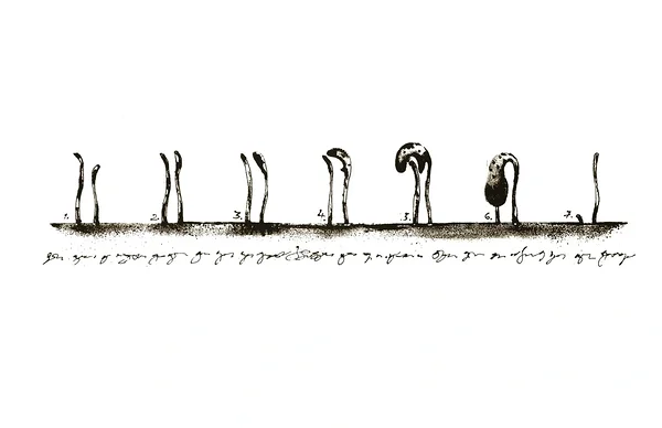 VIHA, siiditrükk, 14x67 cm, 1993