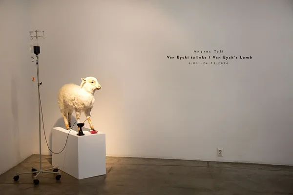 Van Eycki talleke, installatsioon, 2014