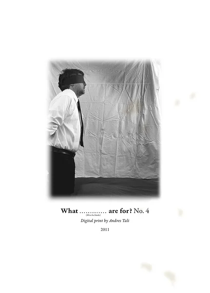 Söömine stressi all  (1–9) (digitaaltrükk, 61x85 cm, 2011)