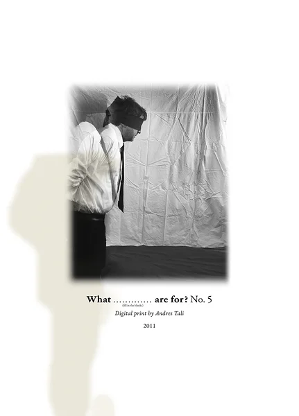 Söömine stressi all  (1–9) (digitaaltrükk, 61x85 cm, 2011)