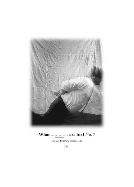 Söömine stressi all  (1–9) (digitaaltrükk, 61x85 cm, 2011)