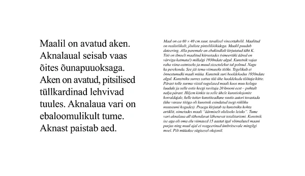 Laadalt leitud maal (digitaaltrükk, 230x150 cm, 2007)