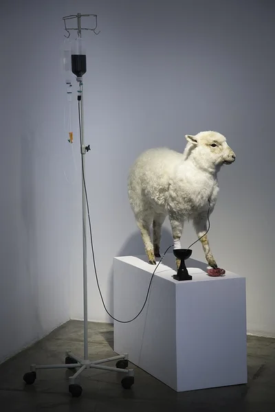 Van Eycki talleke, installatsioon, 2014