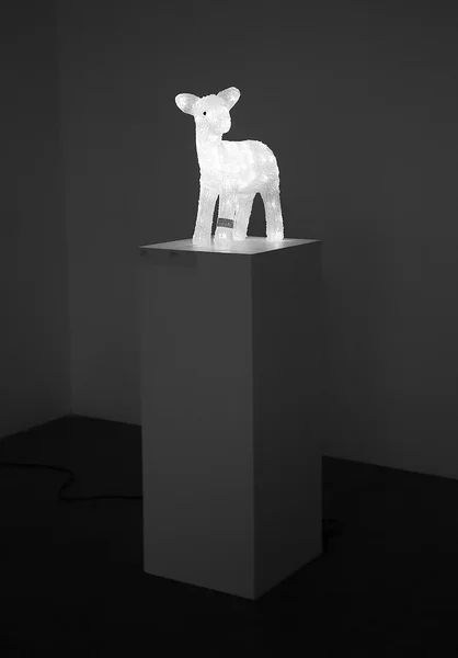 Valgustatud, installatsioon, 2014