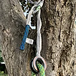 Dyneemar cambium saver treering segmentr (1)