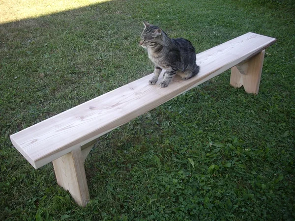 Lehisest pikk pink koos abilisega 3