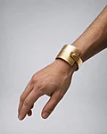 Acc bh gold b