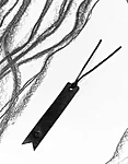Bookmark cricket b