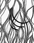 Bookmark jellyfish b