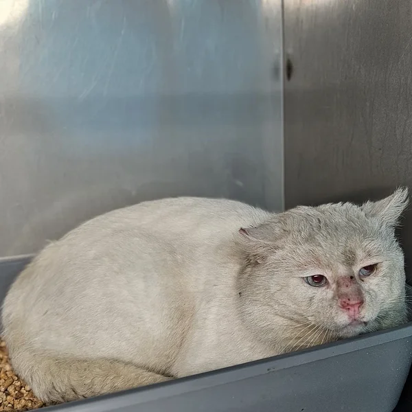 20260319 095541%20(1) block