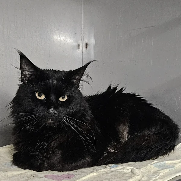 20260319 134815%20(1) block