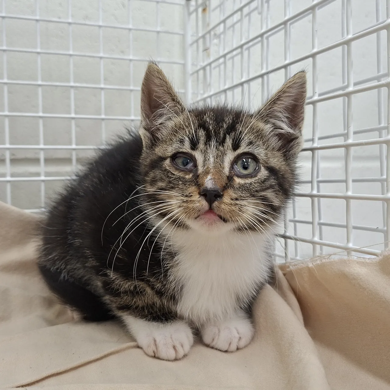 27cae96c 7356 4bef a5eb 54e1a7c3a45a
