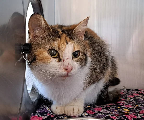 M%c3%a4eltk%c3%bcla%201.2 block