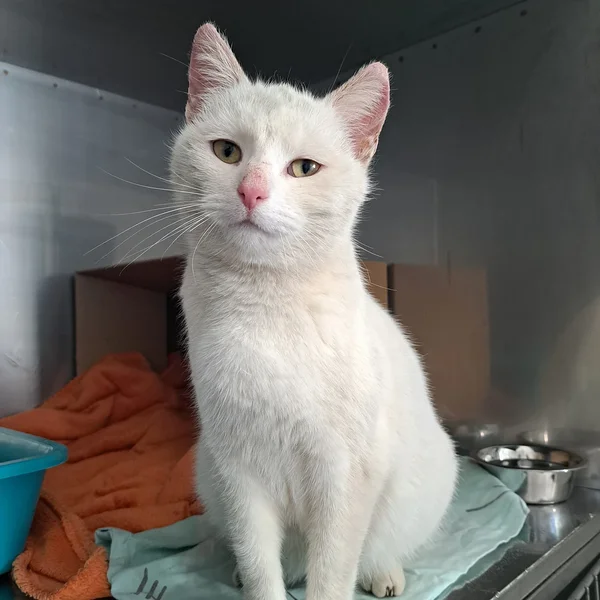 M%c3%b5nnaste%201.1 block