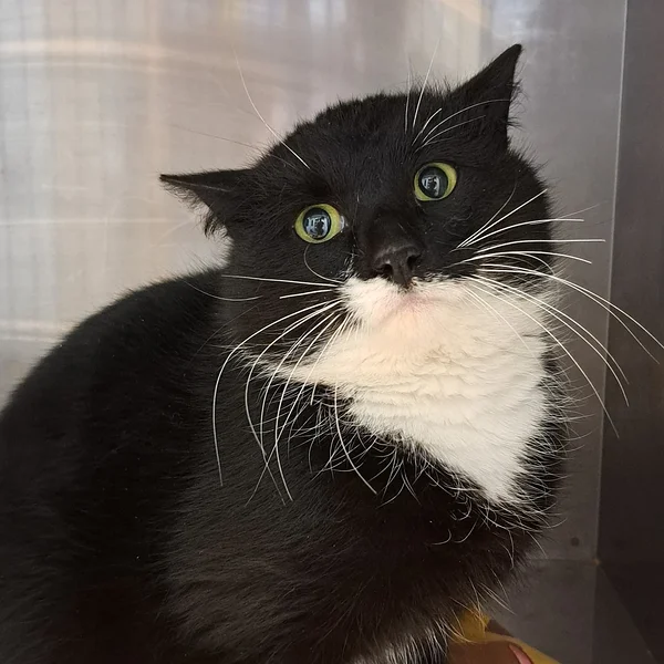 20260319 174927 block