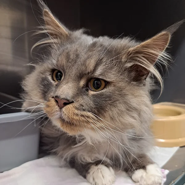 20260321 093207 block