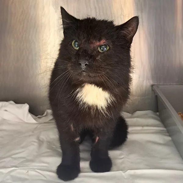 20260402 101002 block